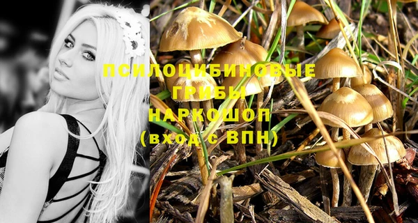 ECSTASY Остров